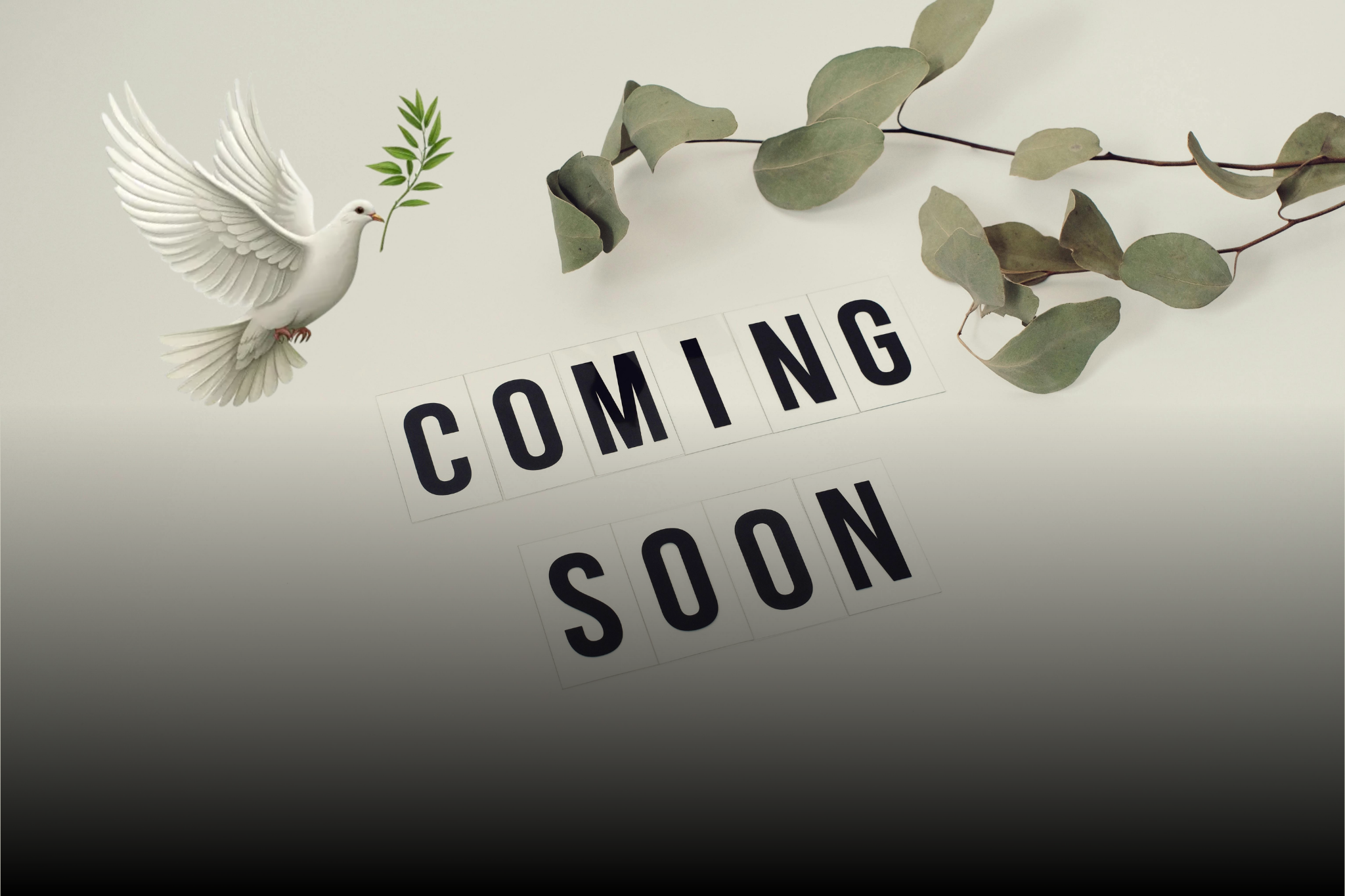 The Dove - new serviced accommodation Stoke-on-Trent coming soon